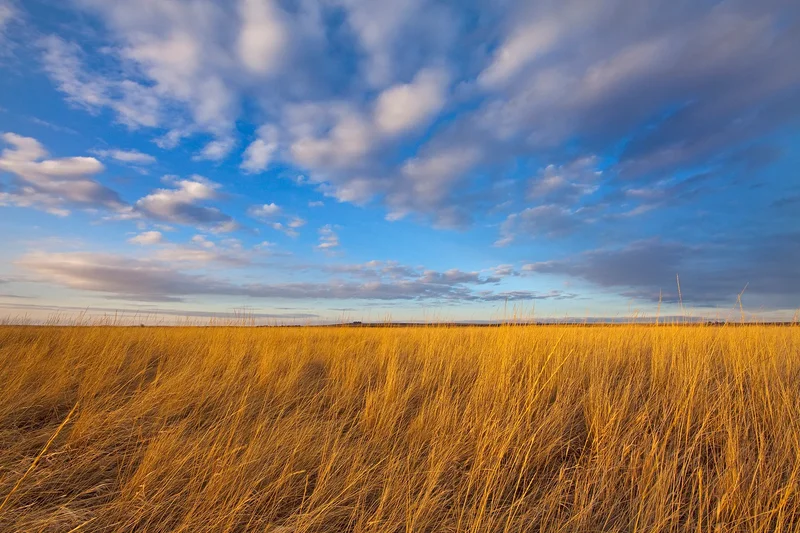 America The Beautiful